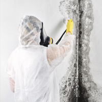 Čiščenje / sanacija